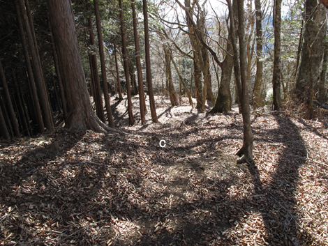 20190121hike (144)